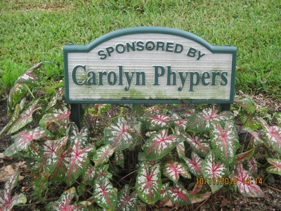 Picture of Carolyn Phyphers sign