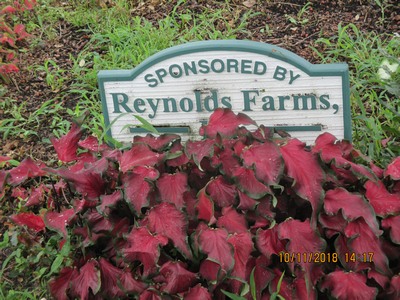 Picture of Reynolds Farms sign