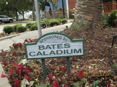 Picture of Bates Caladiums sign